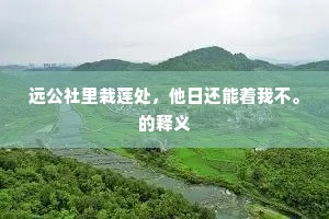 远公社里栽莲处，他日还能着我不。的释义