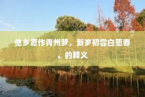 他乡忽作青州梦，新岁初尝白堕春。的释义