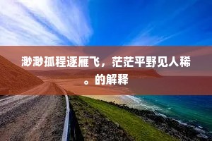 渺渺孤程逐雁飞，茫茫平野见人稀。的解释