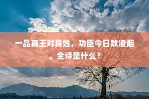 一品真王对异姓，功臣今日数凌烟。全诗是什么？