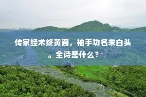 传家经术终黄阁，袖手功名未白头。全诗是什么？