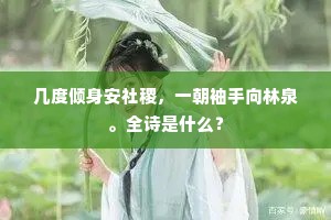 几度倾身安社稷，一朝袖手向林泉。全诗是什么？