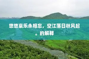 悠悠哀乐永相忘，空江落日秋风起。的解释