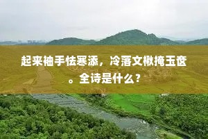 起来袖手怯寒添，冷落文楸掩玉奁。全诗是什么？
