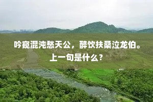 吟窥混沌愁天公，醉饮扶桑泣龙伯。上一句是什么？