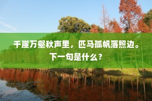 千崖万壑秋声里，匹马孤帆落照边。下一句是什么？