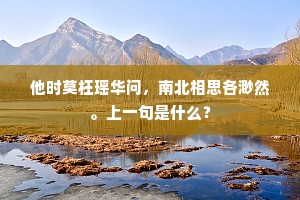 他时莫枉瑶华问，南北相思各渺然。上一句是什么？