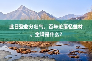 此日登临分壮气，百年沦落忆雄材。全诗是什么？