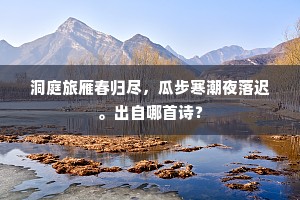 洞庭旅雁春归尽，瓜步寒潮夜落迟。出自哪首诗？