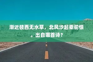渐近碛西无水草，北风沙起橐驼惊。出自哪首诗？