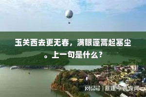 玉关西去更无春，满眼蓬蒿起塞尘。上一句是什么？