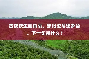 古戍秋生画角哀，思归泣尽望乡台。下一句是什么？