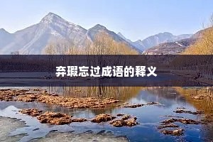 弃瑕忘过成语的释义