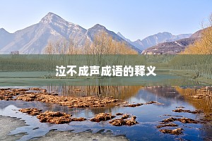 泣不成声成语的释义