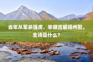 去年从军杀强虏，举鞭直解扬州围。全诗是什么？