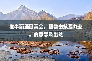 椎牛酾酒且高会，酣歌击筑焉能悲。的意思及出处