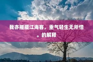 我亦摧藏江海客，重气轻生无所惜。的解释