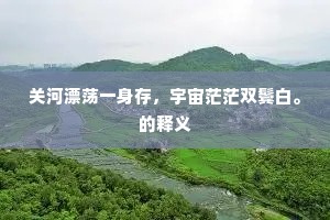 关河漂荡一身存，宇宙茫茫双鬓白。的释义