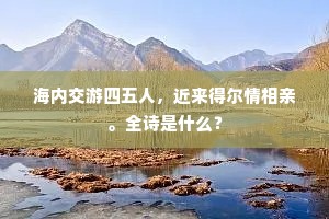 海内交游四五人，近来得尔情相亲。全诗是什么？