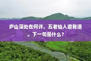 庐山深处在何许，五老仙人邀我语。下一句是什么？