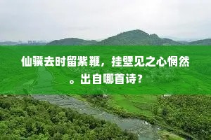 仙骥去时留紫鞭，挂壁见之心惘然。出自哪首诗？