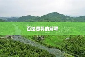 百结悬鹑的解释