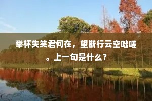举杯失笑君何在，望断行云空咄嗟。上一句是什么？