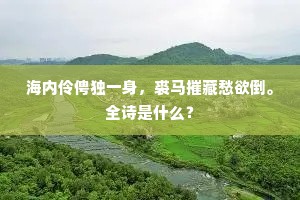 海内伶俜独一身，裘马摧藏愁欲倒。全诗是什么？