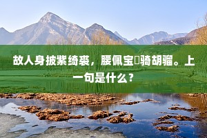故人身披紫绮裘，腰佩宝玦骑胡骝。上一句是什么？