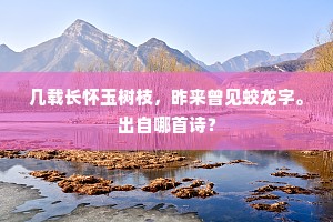 几载长怀玉树枝，昨来曾见蛟龙字。出自哪首诗？