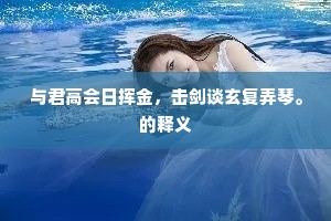 与君高会日挥金，击剑谈玄复弄琴。的释义