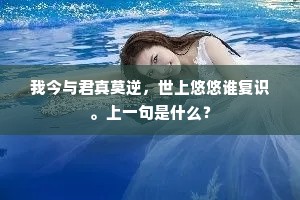 我今与君真莫逆，世上悠悠谁复识。上一句是什么？