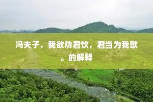 冯夫子，我欲劝君饮，君当为我歌。的解释