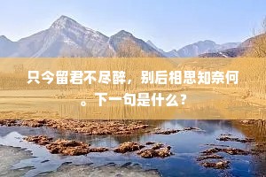 只今留君不尽醉，别后相思知奈何。下一句是什么？