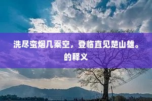 洗尽蛮烟几案空，登临直见楚山雄。的释义