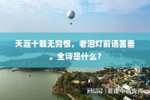 天涯十载无穷恨，老泪灯前语罢垂。全诗是什么？