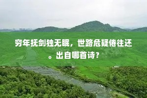 穷年抚剑独无眠，世路危疑倦往还。出自哪首诗？