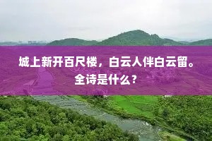 城上新开百尺楼，白云人伴白云留。全诗是什么？