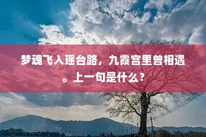 梦魂飞入瑶台路，九霞宫里曾相遇。上一句是什么？