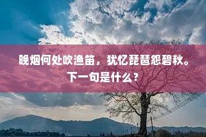 晚烟何处吹渔笛，犹忆琵琶怨碧秋。下一句是什么？