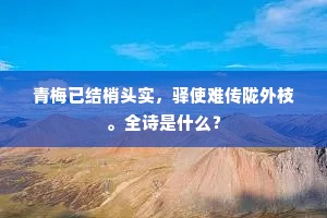 青梅已结梢头实，驿使难传陇外枝。全诗是什么？