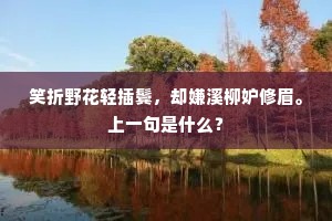 笑折野花轻插鬓，却嫌溪柳妒修眉。上一句是什么？