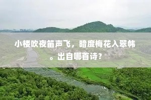 小楼吹夜笛声飞，暗度梅花入翠帏。出自哪首诗？