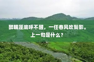 醉眠篷底呼不醒，一任春风吹鬓影。上一句是什么？