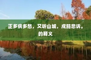 正多病多愁，又听山城，戍笳悲诉。的释义