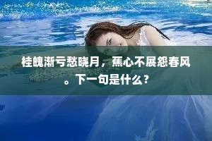 桂魄渐亏愁晓月，蕉心不展怨春风。下一句是什么？