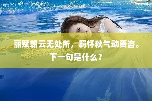 丽赋朝云无处所，羁怀秋气动赍咨。下一句是什么？