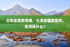 三年送目愁邻媛，七泽迷魂怨楚词。全诗是什么？