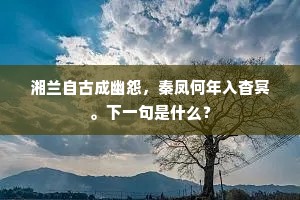 湘兰自古成幽怨，秦凤何年入杳冥。下一句是什么？