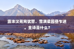 露浓汉苑宵犹警，雪满梁园昼乍迷。全诗是什么？